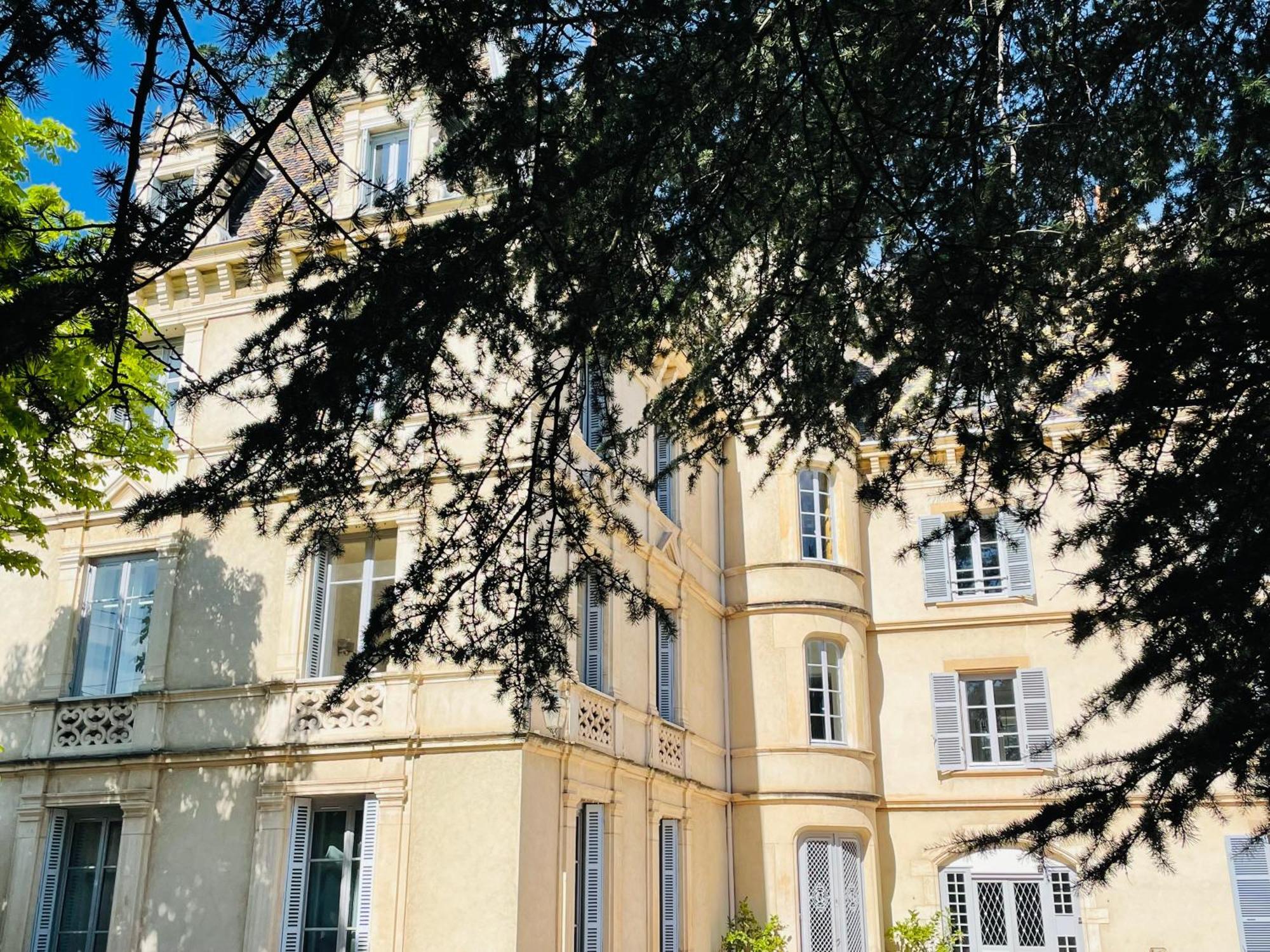 Grand Appartement D'Exception Au Chateau Randin Ecully Ngoại thất bức ảnh